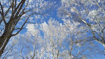 スノー スポーツとスキー / 13