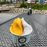 ICE CREAM UNITED（アイスクリームユナイテッド）