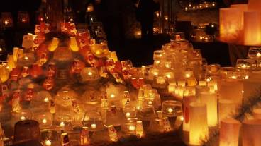 ランド ビュー / 24