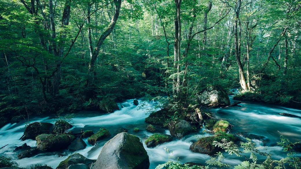 春夏の奥入瀬渓流 阿修羅の流れ / 1
