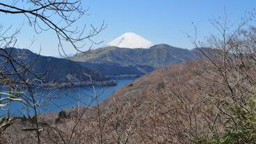 ランド ビュー / 14