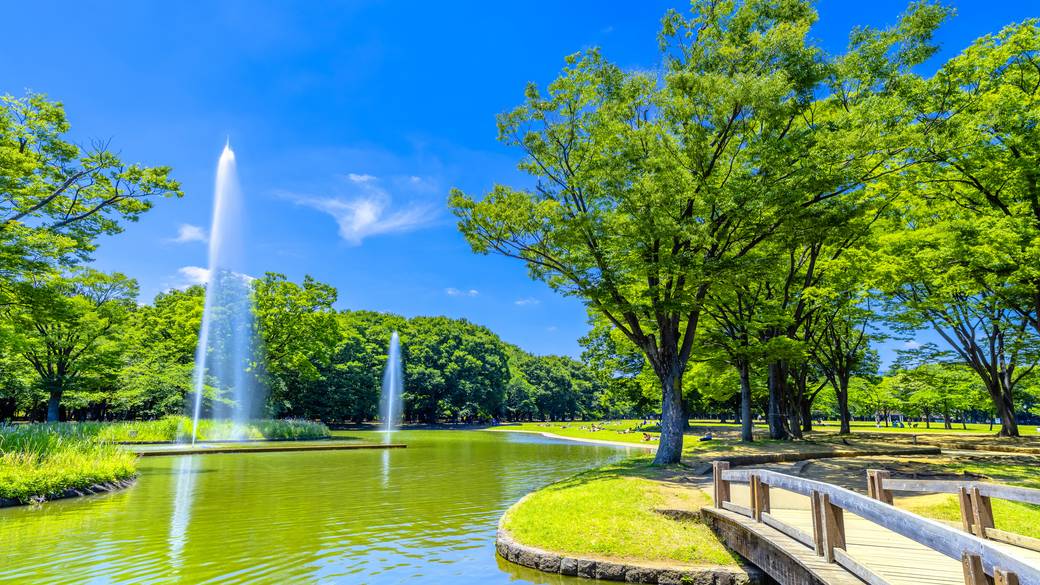 代々木公園 噴水池 / 2