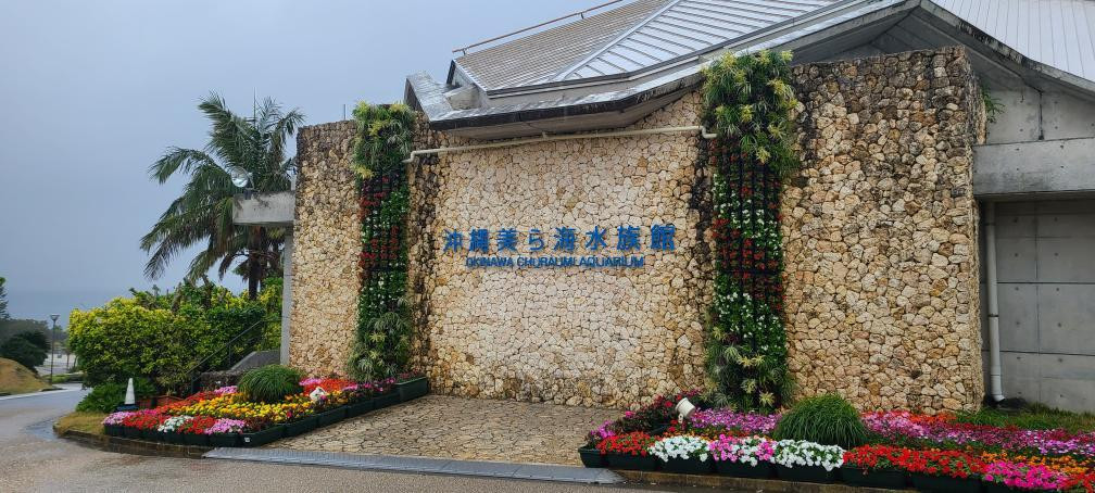 tamaemon2002さんの写真 / 5