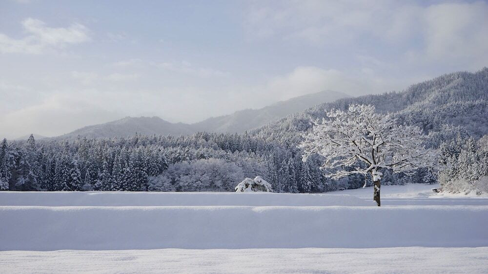 施設からの眺望