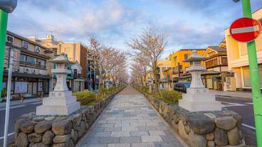 シティ ビュー / 10