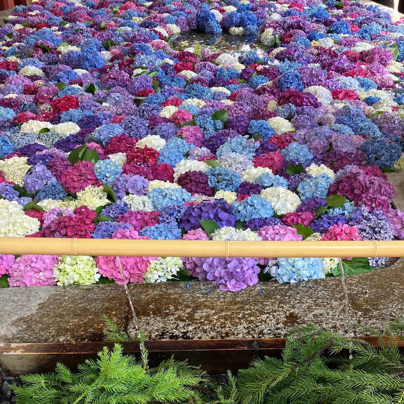 tukino.kakeraさんの写真 / 4