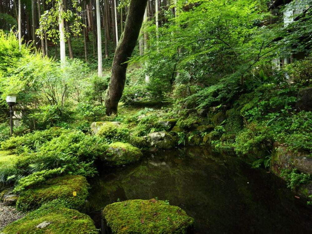 施設からの眺望