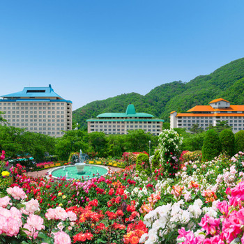 pH9.0の弱アルカリ温泉、美肌の湯4251501