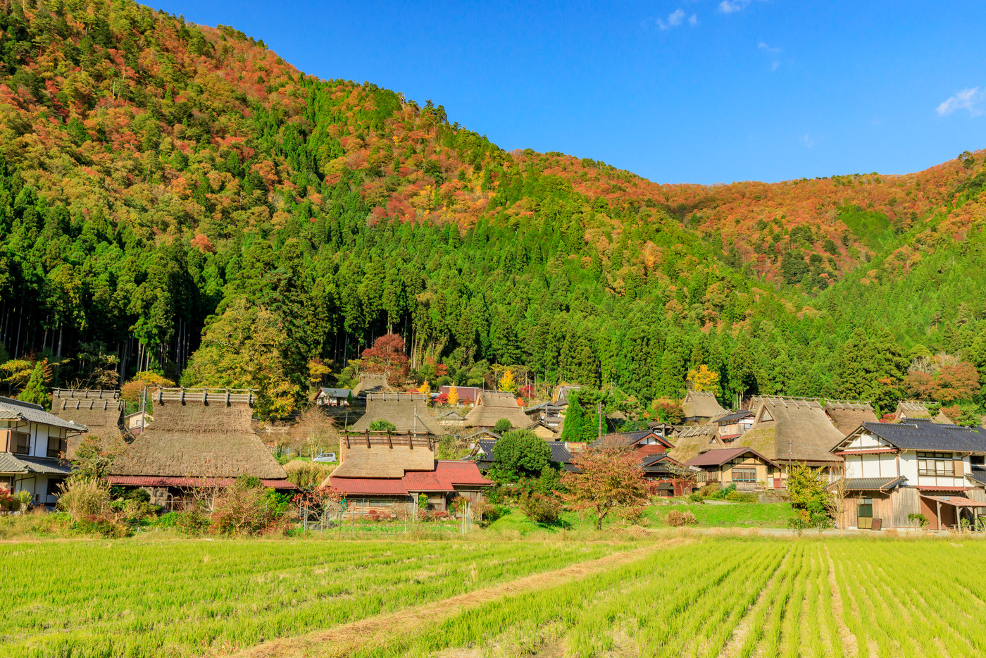 美山かやぶきの里　秋