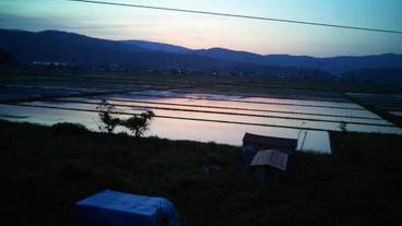 施設の敷地 / 12