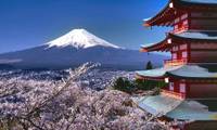 ホテルマイステイズ富士山 展望温泉（ホテルマイステイズフジヤマ）