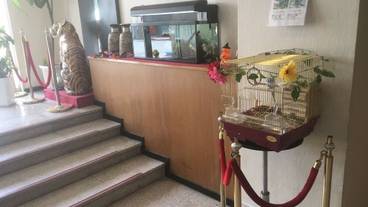 内部エントランス / 1