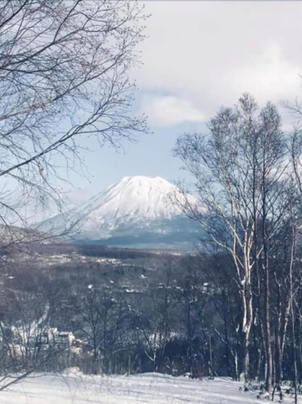 施設からの眺望