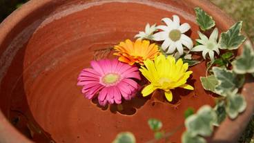 テラス / パティオ / 13