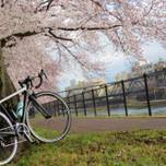 京都観光を自転車に乗って楽しもう♪おすすめコース＆スポット