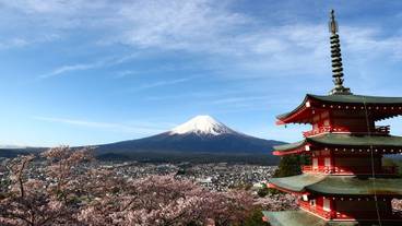 マウンテン ビュー / 20