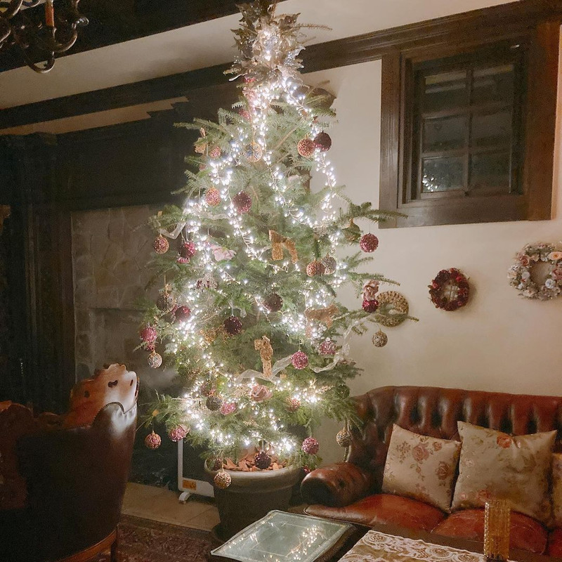 nemu0205xxさんの写真 / 1