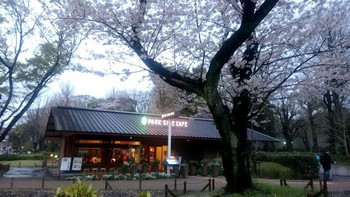 「パークサイドカフェ」 外観 65520827 満開の桜