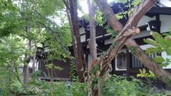 藤助の湯ふじや