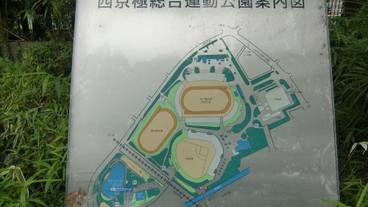 シティ ビュー / 10