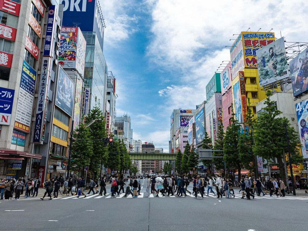 ランド ビュー