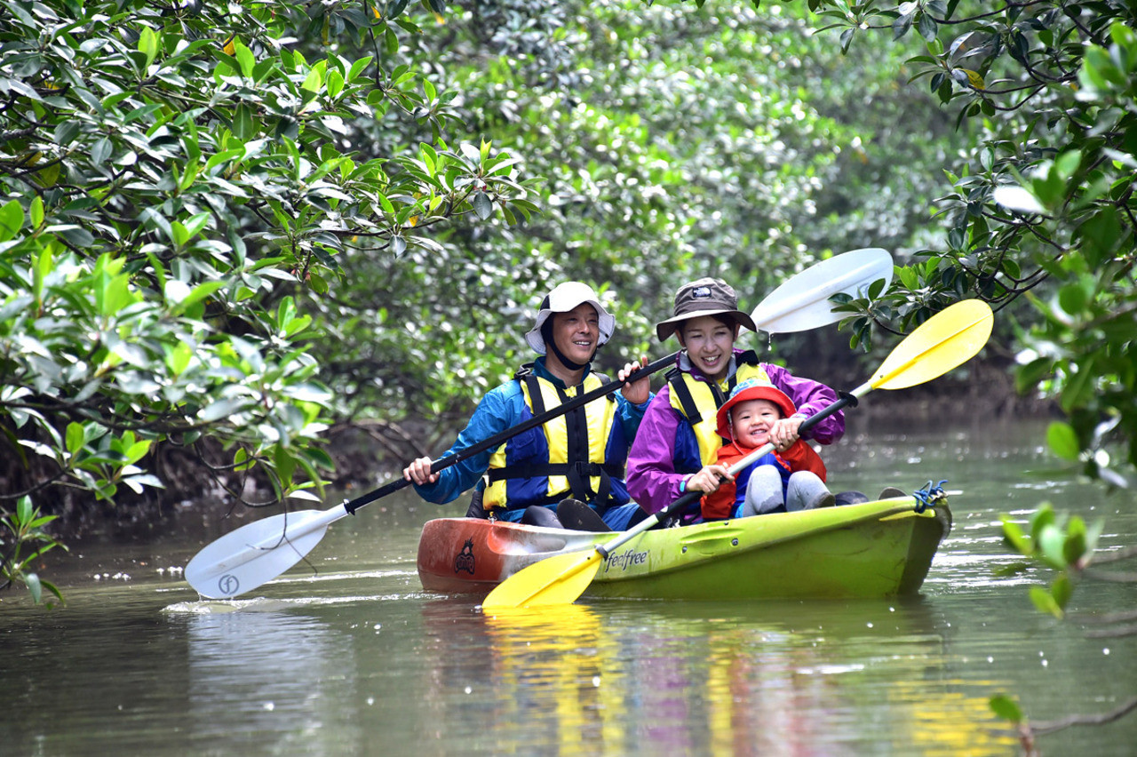 世界遺産　西表島