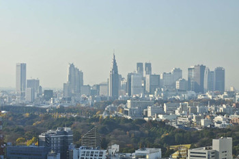 Even in busy Tokyo, I want to spend some quiet time relaxing.