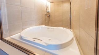 プレミアム スイート 禁煙 (ラウンジアクセス付き)