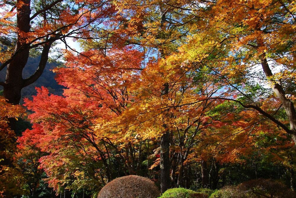庭園
