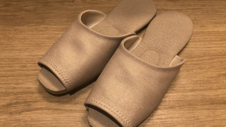 [禁煙] エコノミーツイン (15平米)