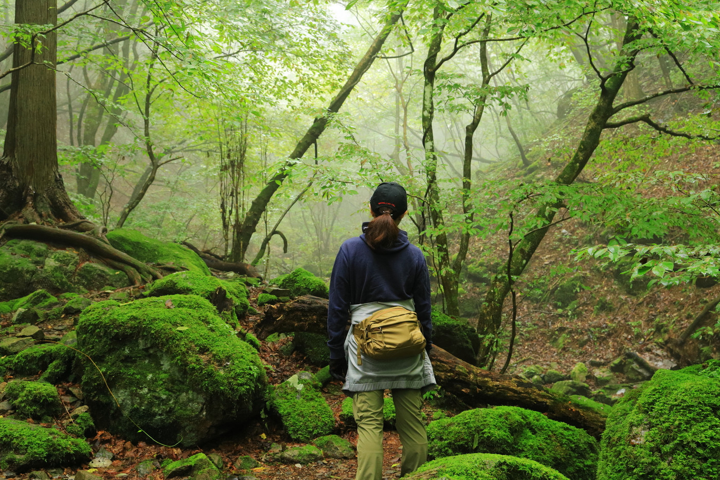 《東京都青梅市》御岳山　ロックガーデン