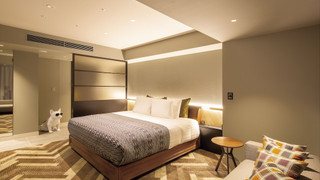 デラックス ストリーム ダブルルーム キングベッド 1 台 禁煙 シティビュー