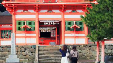 ランド ビュー / 16