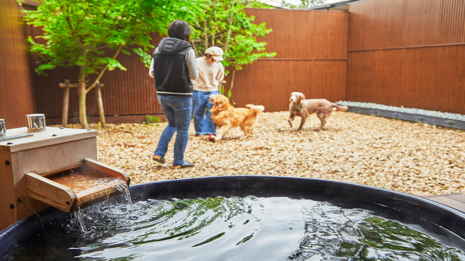 レジーナリゾート 箱根雲外荘(レジーナリゾートハコネウンガイソウ) / 5