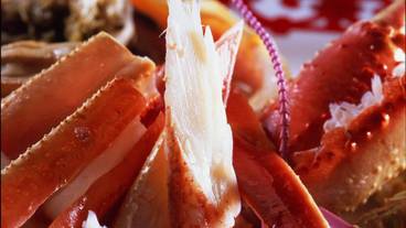 食事・飲み物 / 1