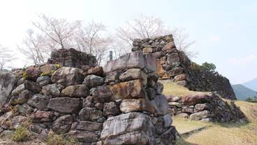 施設の敷地 / 22