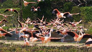 観光スポット / 2