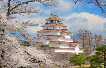 Tsuruga Castle with cherry blossoms and red tiles