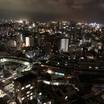 客室からの眺め
