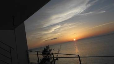 テラス / パティオ / 29