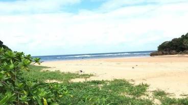 ビーチ / オーシャン ビュー / 7