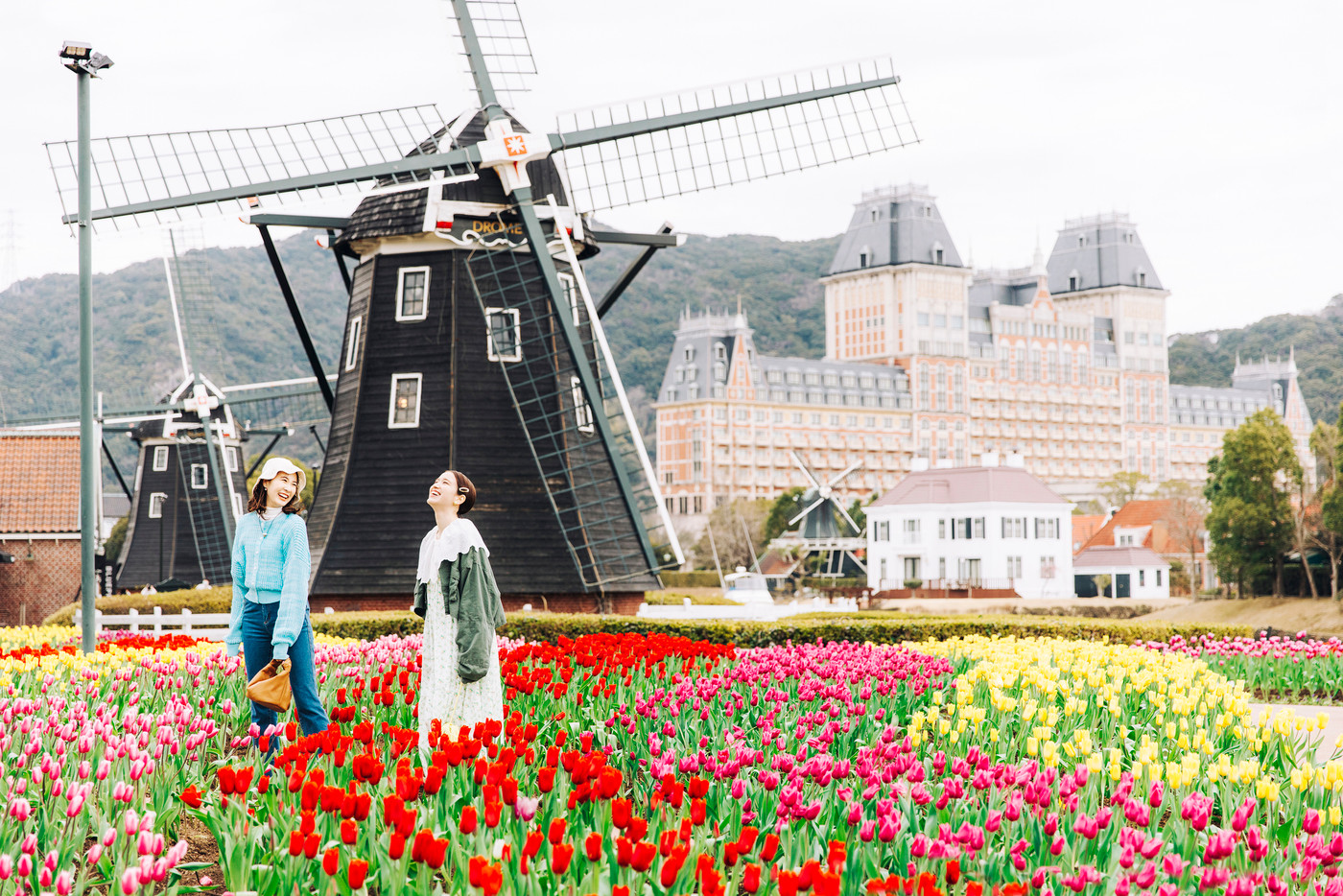 心華やぐ風車とチューリップ畑のコラボレーション♡2606684