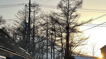 施設からの眺望 / 8
