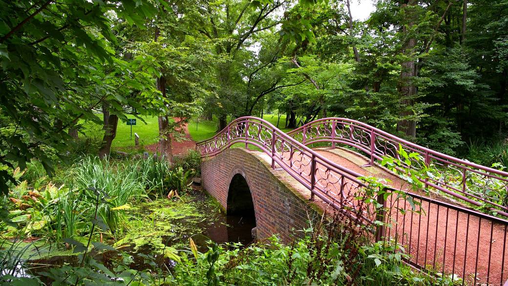「北海道大学植物園」 / 2