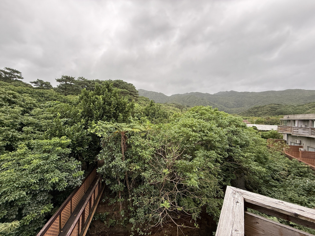 ベランダからの眺望”ジャングル”