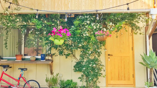 ベーシック 4 人部屋 ベッド (複数台) 禁煙