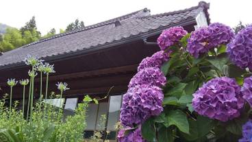 テラス / パティオ / 21