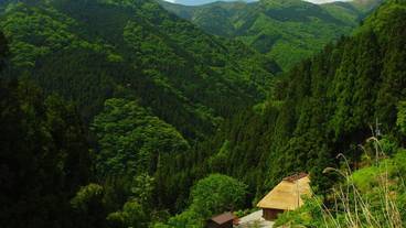 マウンテン ビュー / 8