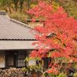 黒川温泉 源流の宿 帆山亭（離れ宿）