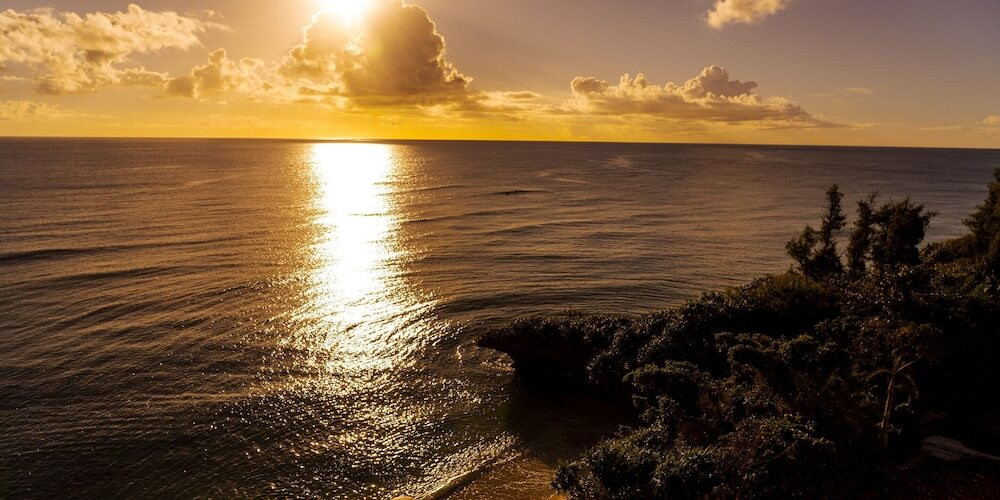 ビーチ / オーシャン ビュー